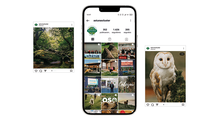 feed de instagram de Asturas Cluster