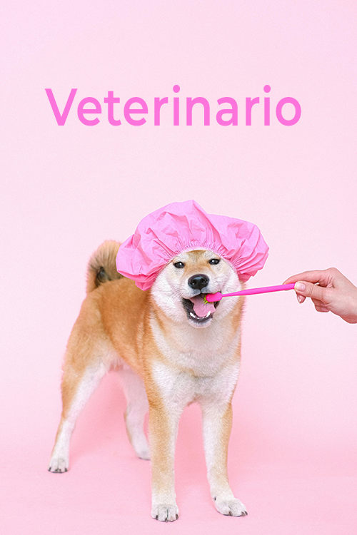 IA PARA VETERINARIOS
