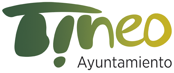 ayuntamiento de Tineo