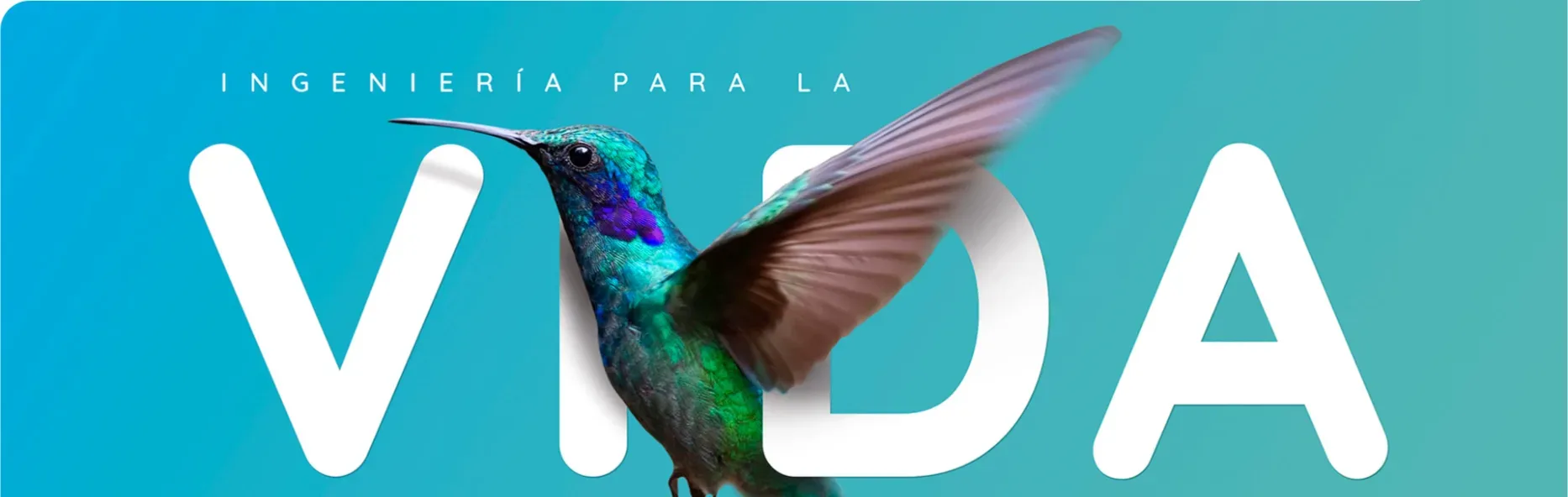 Colibrí sobre la palabra VIDA: Ingeniería para la vida, imagen de marca de i4life